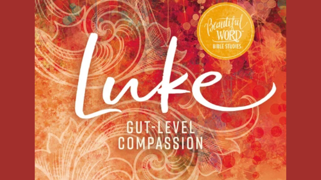 Luke Book Study